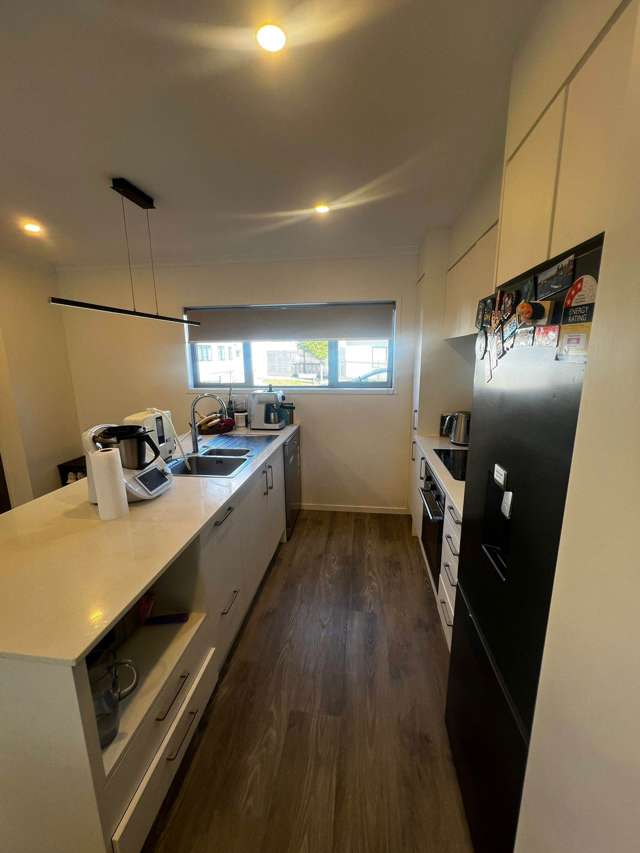 23 Green Bamboo Road Hobsonville_1