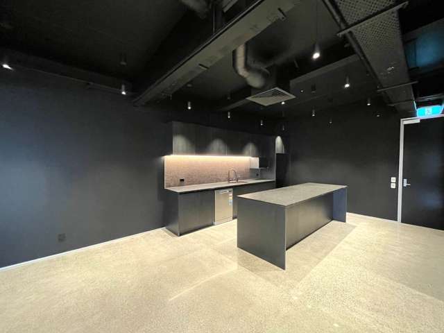 9A Hargreaves Street Freemans Bay_3