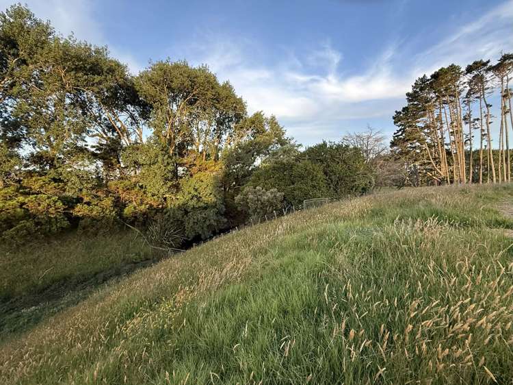 27 Codlin Road Waiuku_6