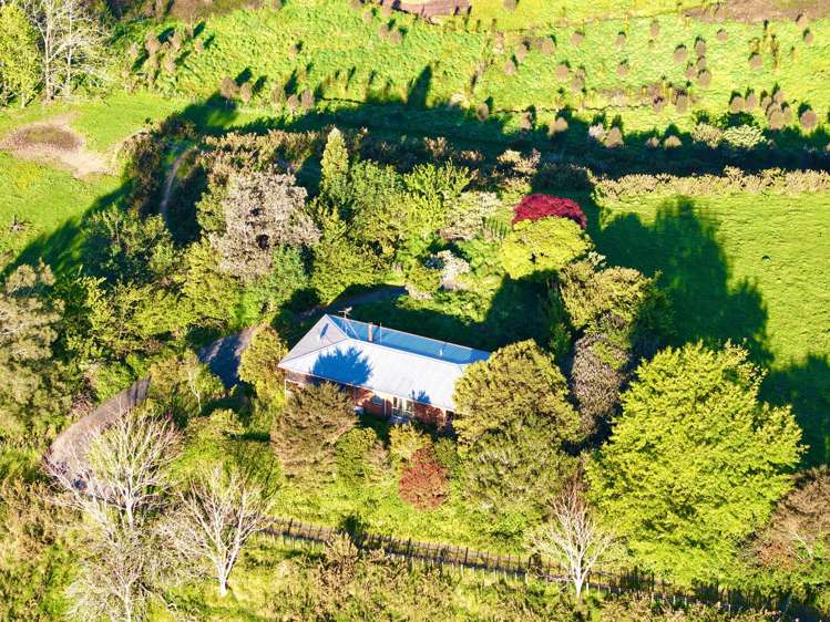 74B Willoughby Road Katikati_13