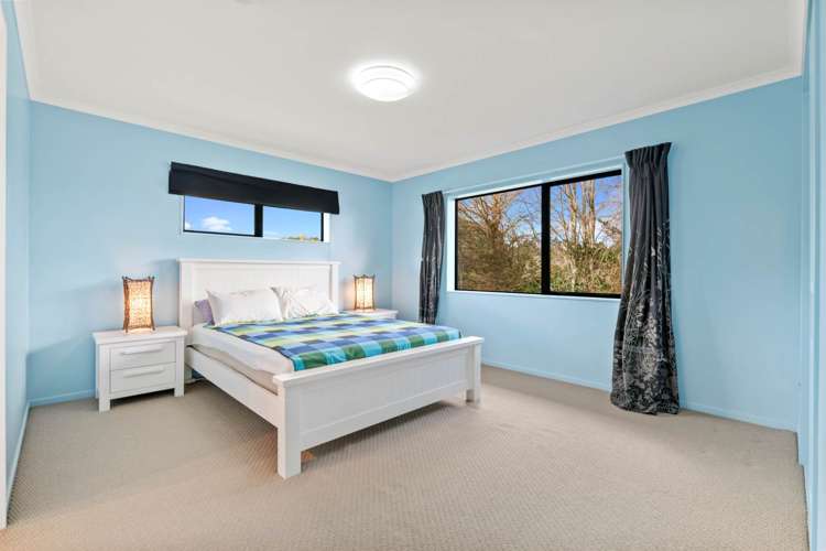 71 Potter Road Dairy Flat_19