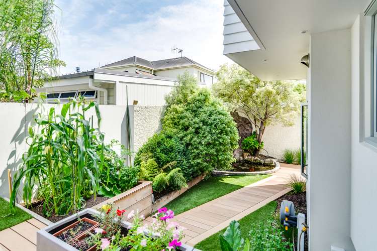 37 Hardinge Road Ahuriri_17