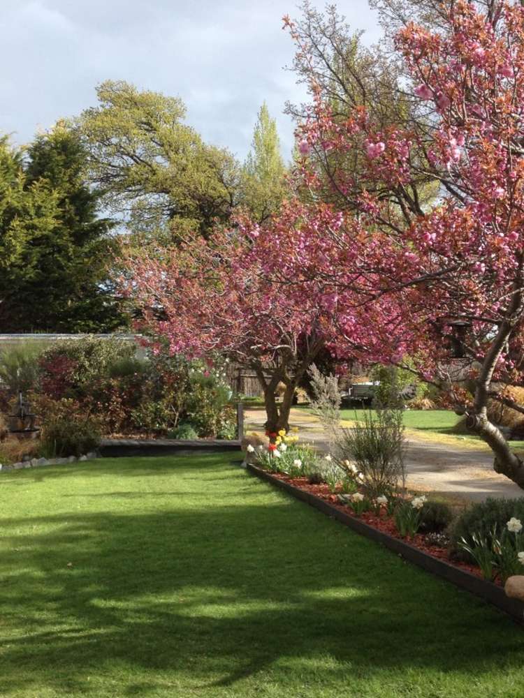 22 Fraser Avenue Ranfurly_12