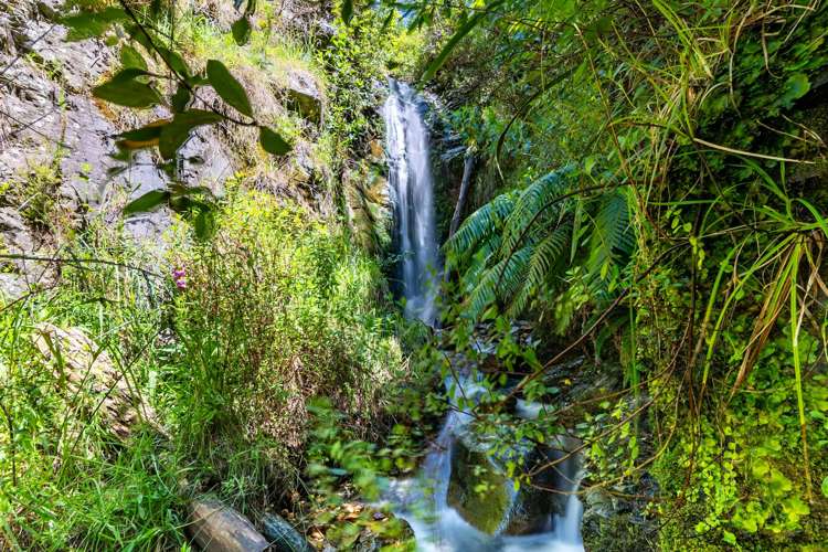 815 Manaroa Road Marlborough Sounds_20