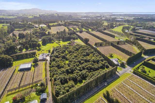 78 Rea Road Hauraki Surrounds_3