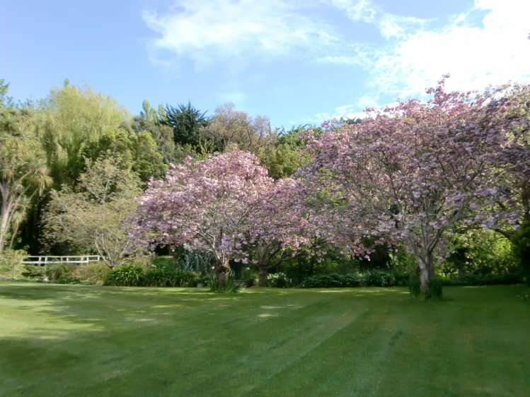 22 Brookside & Irwell Road Leeston_13