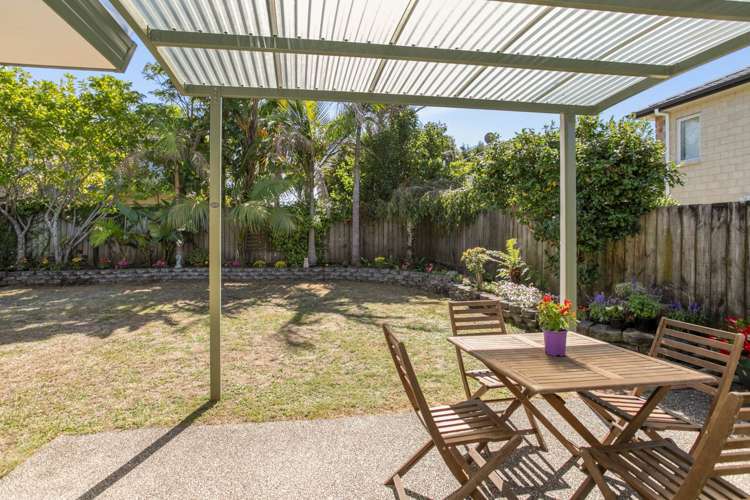 218b Campbell Road Greenlane_6