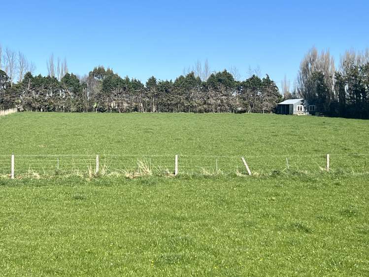 362 Lorne Dacre Road Roslyn Bush_11