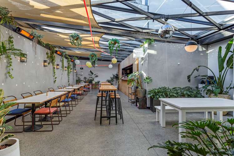 5 Rose Road Grey Lynn_5