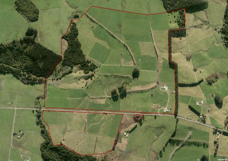 374 Rakauwahia Road Taheke_29