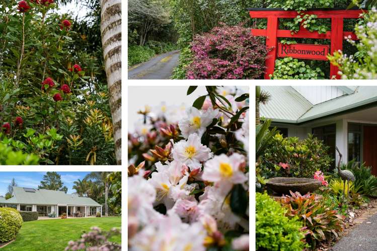 40 Walden Lane Te Puna_2