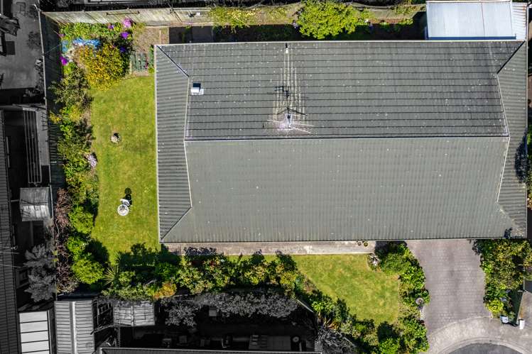 3c Shakespeare Walk The Wood_15