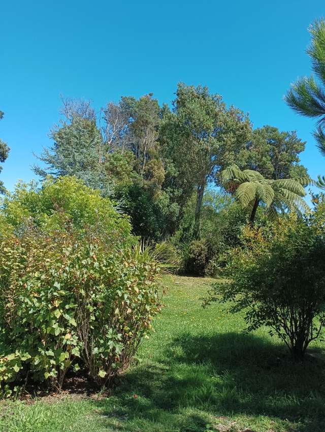 23A Wharf Road Karamea_3