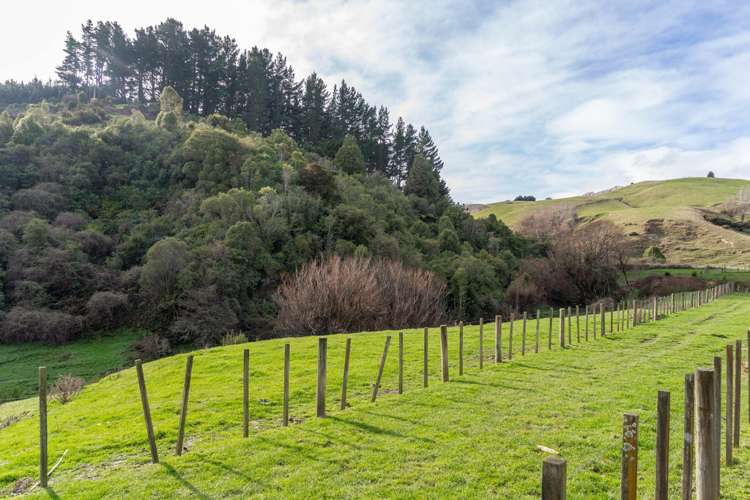 579 Jacksons Line Mauriceville_16