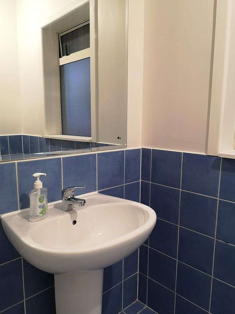 54a Francis Street Hauraki_13