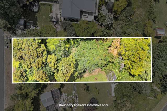 Opportunity Awaits: Build amongst the Bush