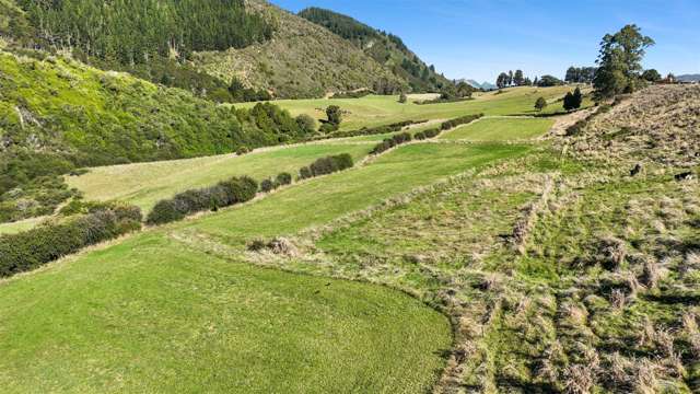 333 Packard Road Takaka_2