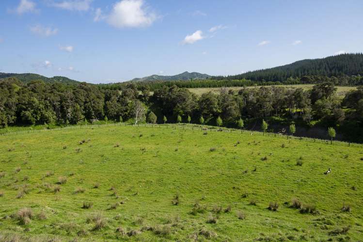 Waihua Valley Wairoa_16