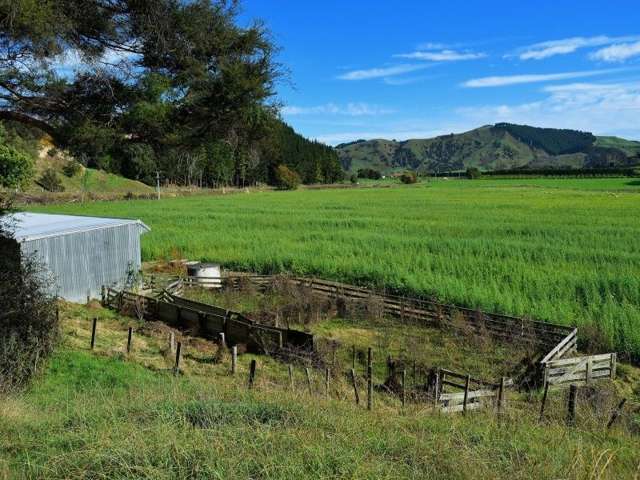 2118 Matawai Road Te Karaka_2