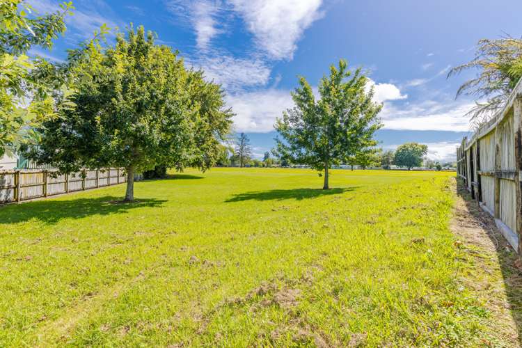 31a Lewis Street Glenview_21