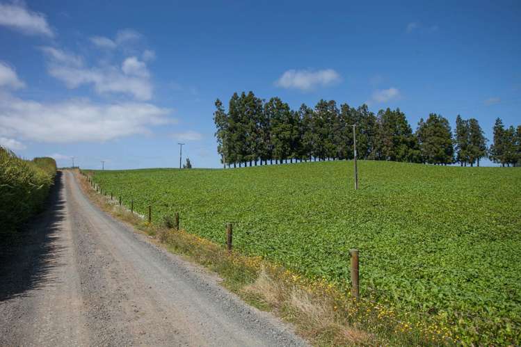 59 Arapuni Road Putaruru_16