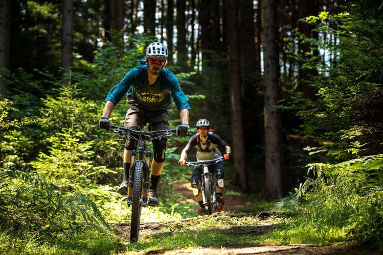 728 Peak Road Helensville_14