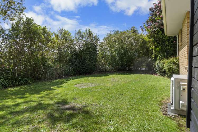 2 Patricia Avenue Hamilton East_18