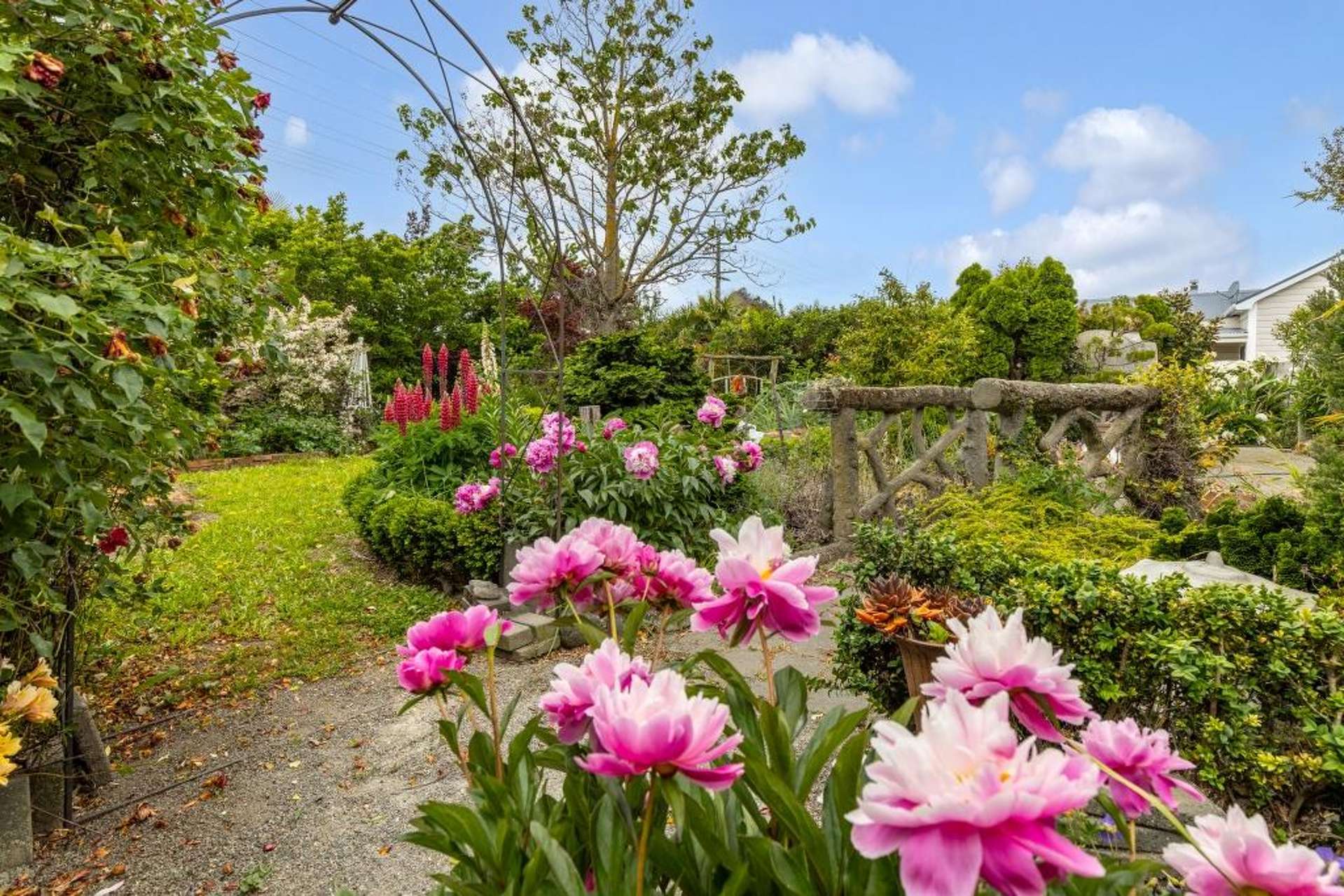 1 Brian Bary Street Redwoodtown_0