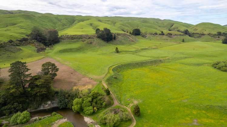 51 Falkner Road Eketahuna_9