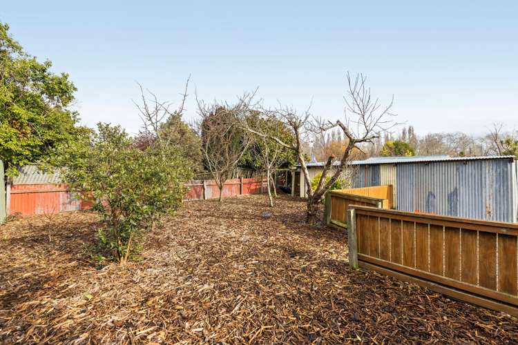 5 Seddon Street Kainga_13
