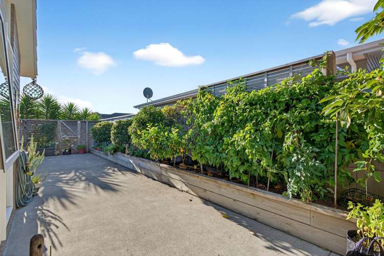 5 Tarata Grove Lansdowne_9