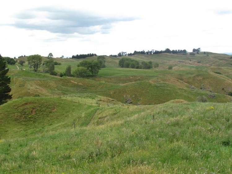 531 Boddie Road Te Kuiti_8