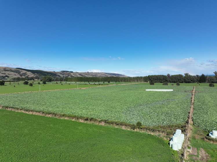 310 Bush Road Mosgiel_11