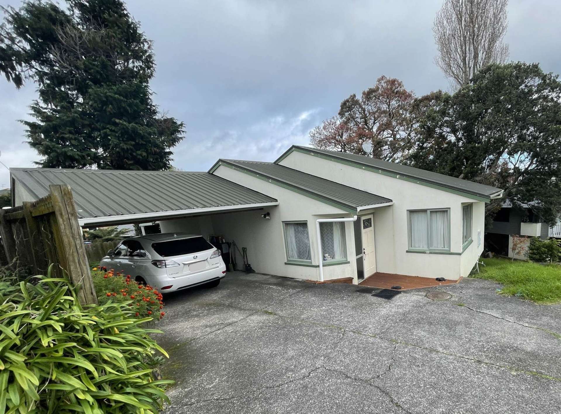 486a Hillsborough Road Mount Roskill_0