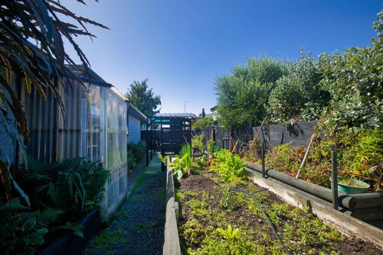 149A Beach Road Kaikoura_21