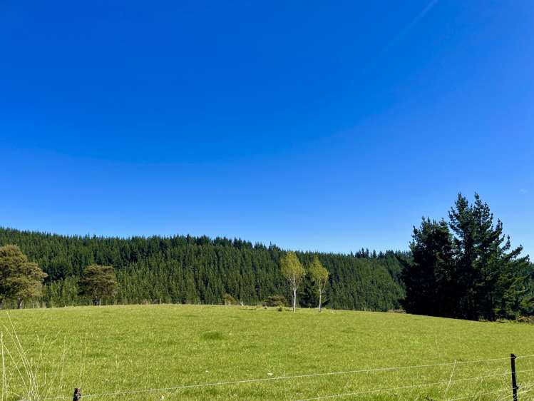 22/1 Reid Road Herbert_26