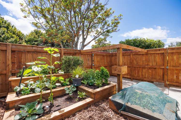 2 Capri Place Awapuni_21