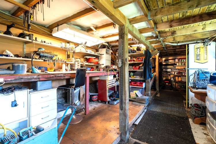 97 Hillary Street Liberton_15