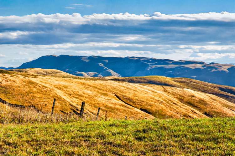 120 Endsleigh Drive Havelock North_4