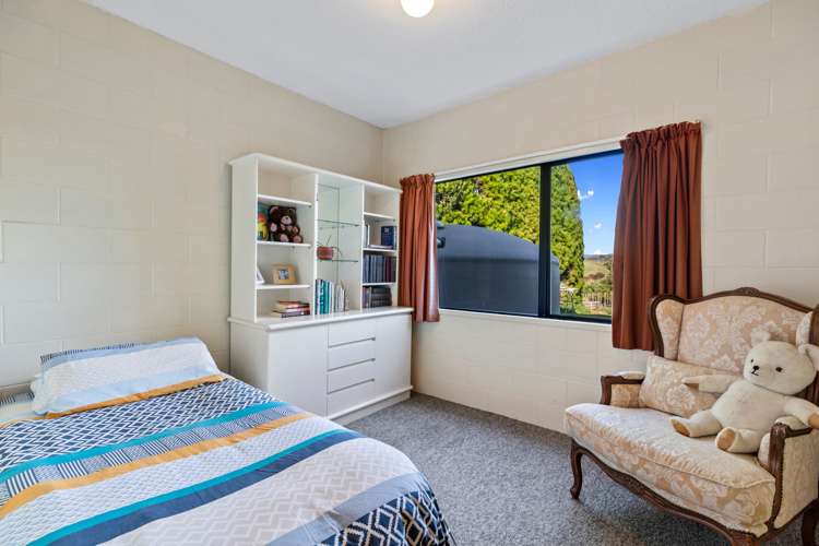 342 Youngson Road Whakamarama_12