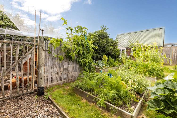 95 Howick Road Redwoodtown_25