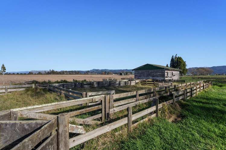 7 and 67 Awaiti Road North Matata_11