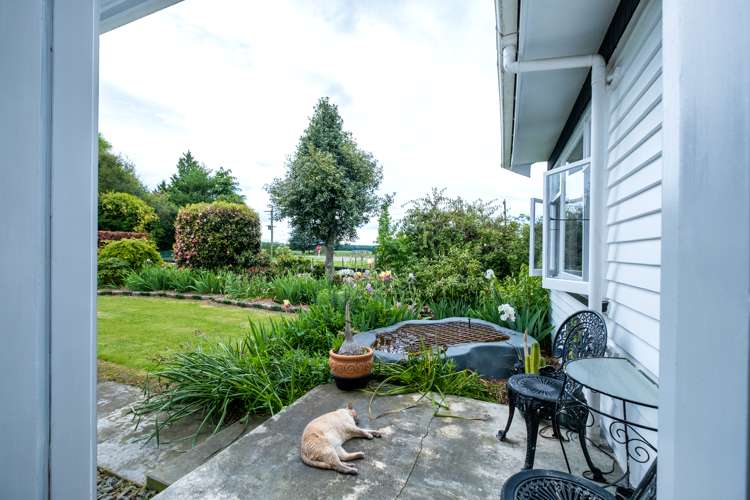 7 Opuha Saint East Orari_16