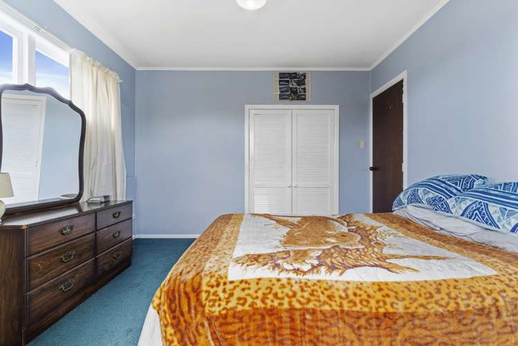 29 Taupo Street Green Bay_15