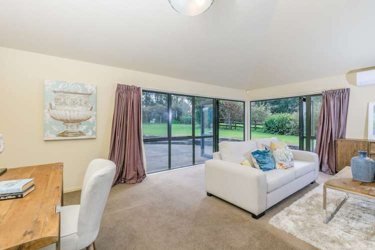 99 Postman Road Dairy Flat_15