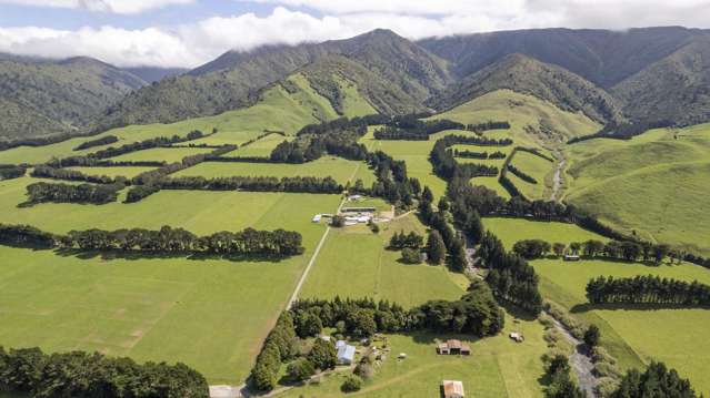 189 Thorburn Road Dannevirke_1
