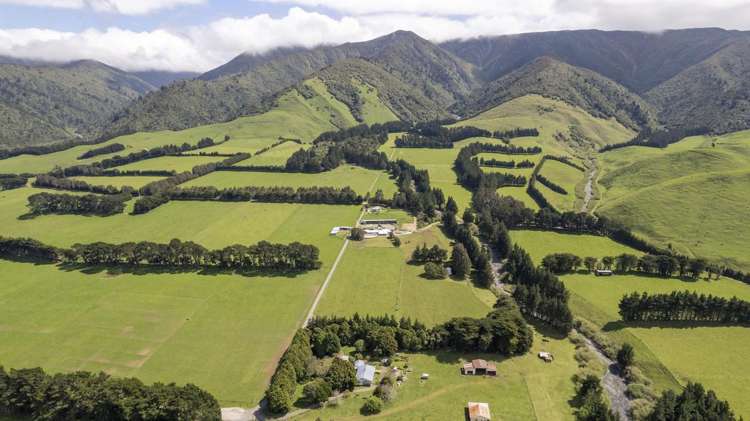 189 Thorburn Road Dannevirke_1