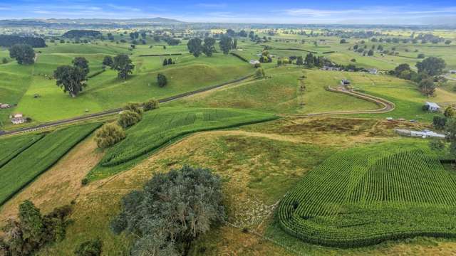 Lot Lot 4 Tapapa Road West Tirau_2