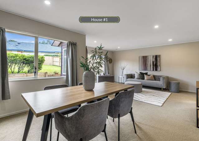 65 and 65a Milan Drive Glen Eden_4