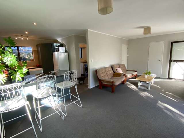 8 Springtime Crescent Stanmore Bay_2